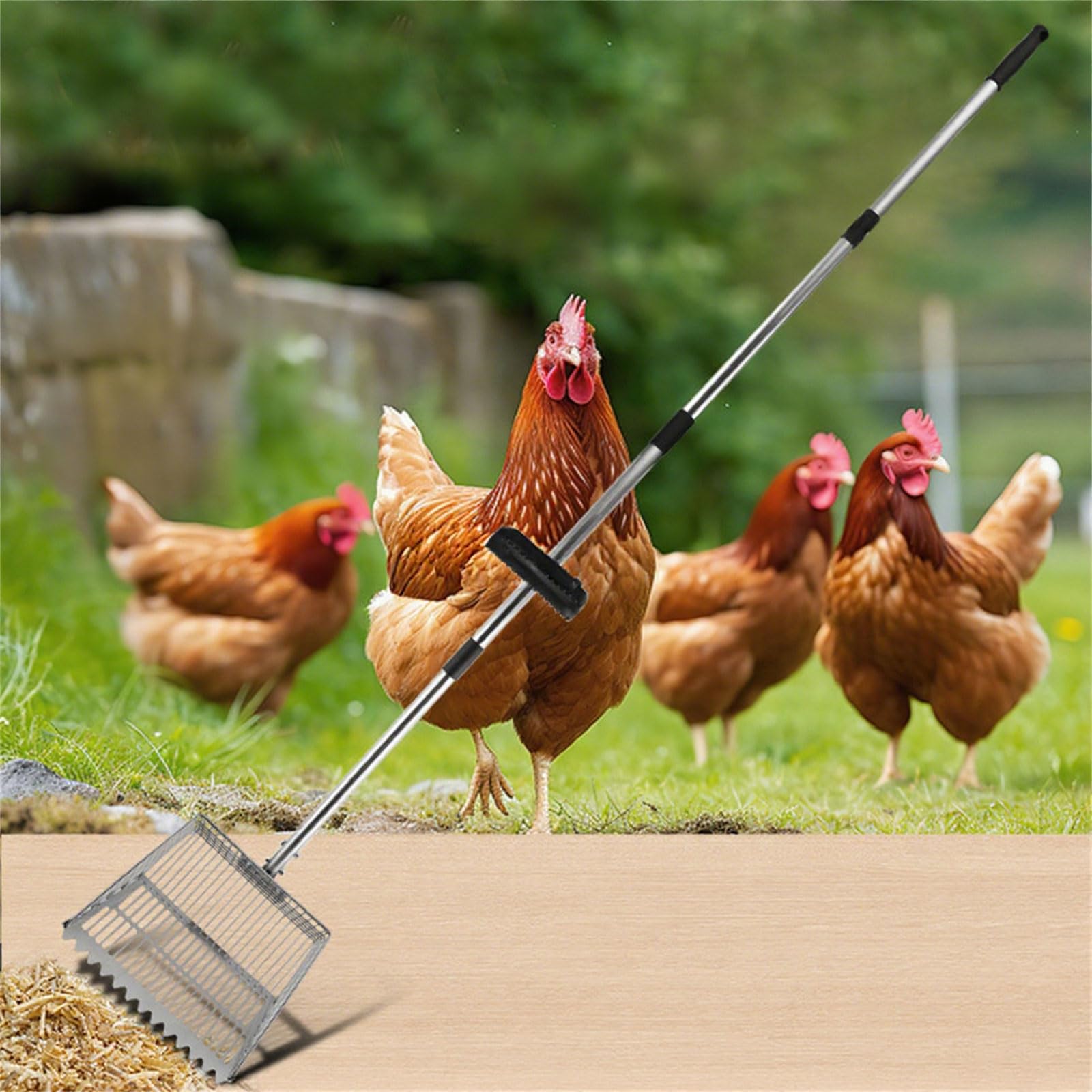 Pala para gallineros con mango largo de 4 secciones de acero inoxidable para aves de corral, gatos, limpieza de arena, pala esencial para tamizar pollos