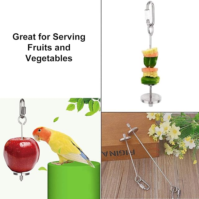 Foto 4 de 8 de Alimentador de Aves, Acero Inoxidable, pincho alimentador, Juguete para Loro, Tenedor para palitos de Carne