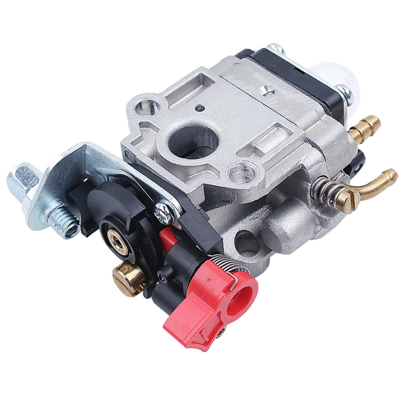 デメキン　ジャボチカバ　実付き　送料無料 楽天市場】クボタ 播種器 きんぱSR100K/130K用 覆土 繰り出し