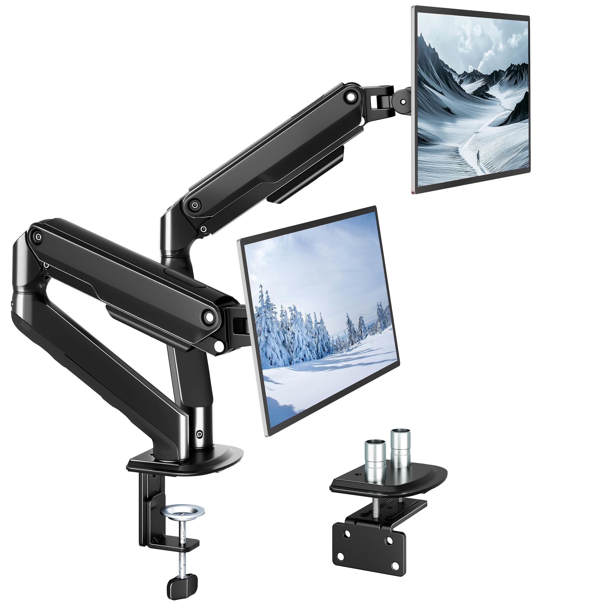 monTEK Dual Monitor Stand