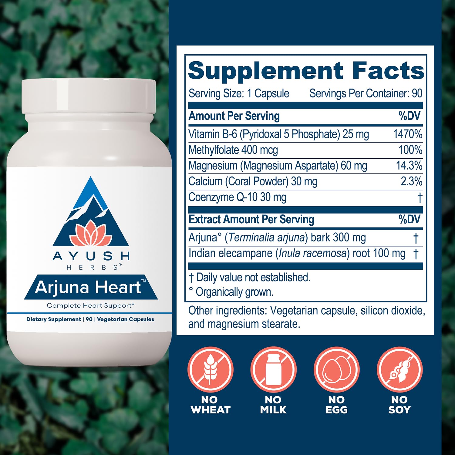 Ayush Herbs Arjuna Heart, Natural Arjuna, 90 Vegetarian Caplets — Amazon image 3