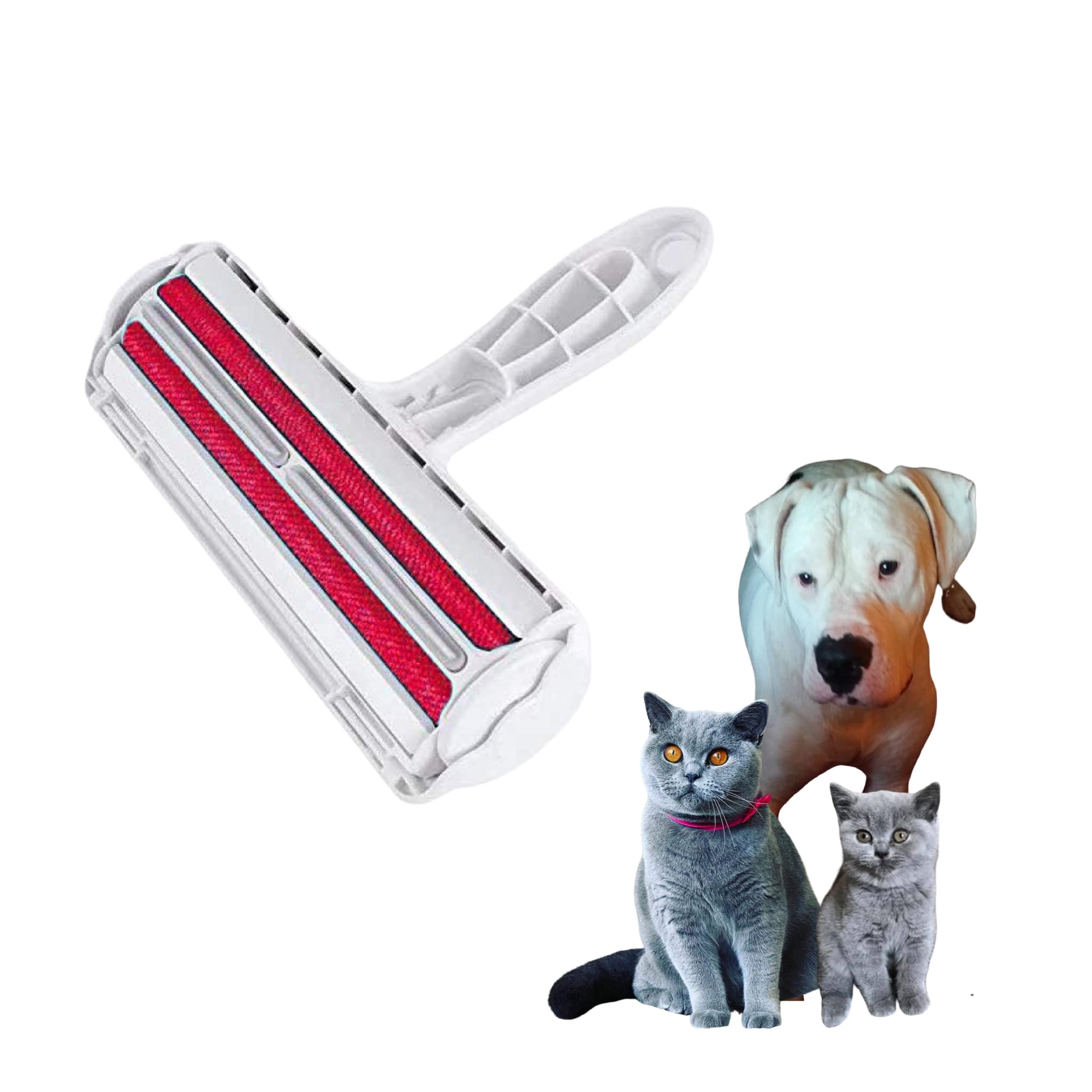 How To Get Dog Hair Out Of Cloth Car Seats