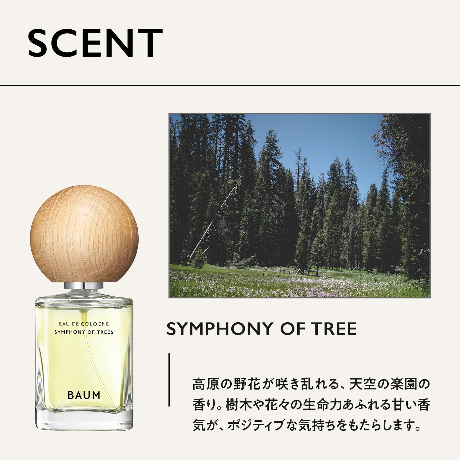 Amazon.co.jp: BAUM(バウム) Eau de Cologne 3, 60 mL | Eau de