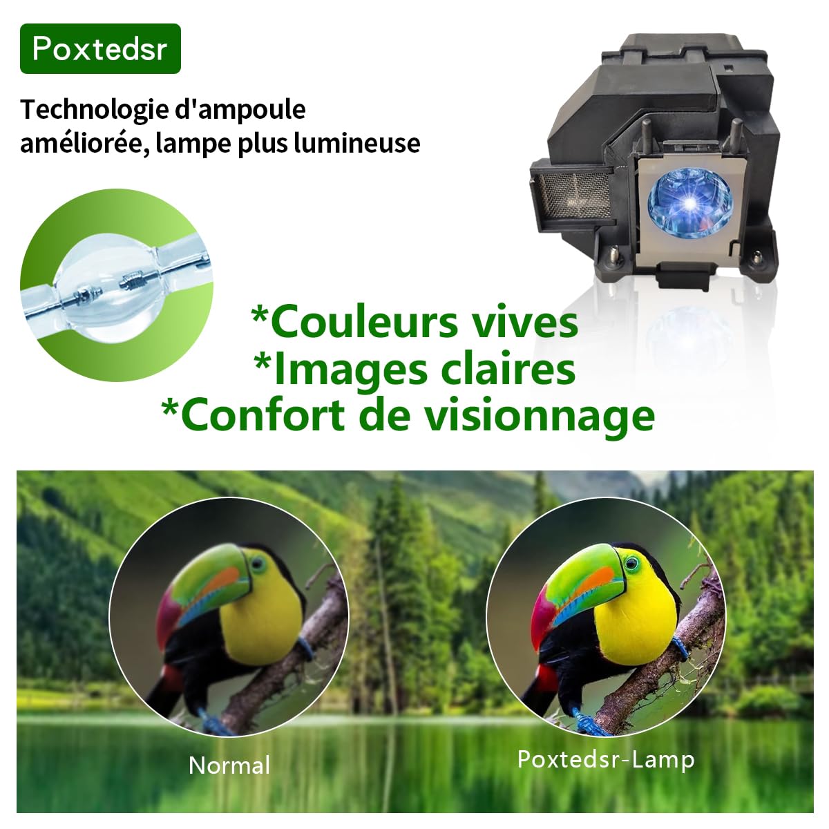 EL PLP95 Lampada Proiettore con Alloggiamento Compatibile con EPSON EB-2055 2065 2140W 2155W 2245U 2250U 2255U 2265U 5530U 5510 PowerLite 2245U 2065 2250U 2255U 2155W 2165W 5530U 5535U