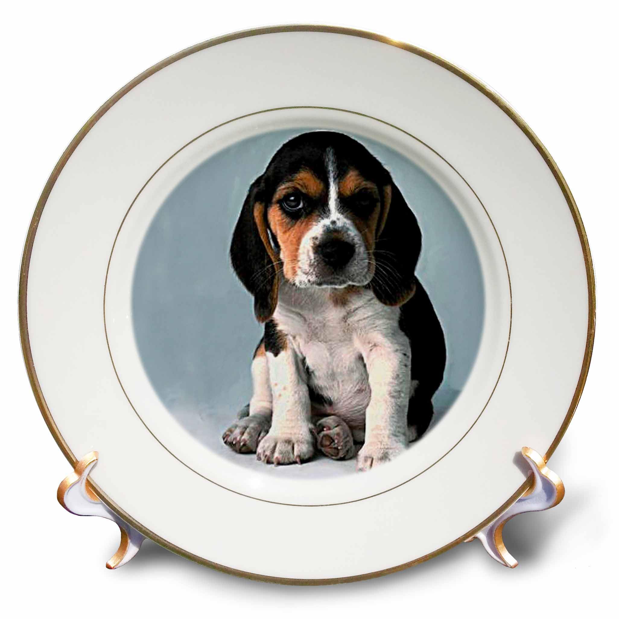 Amazon.co.jp: 犬ビーグル – Beagle Pup – プレート 8 inch Porcelain