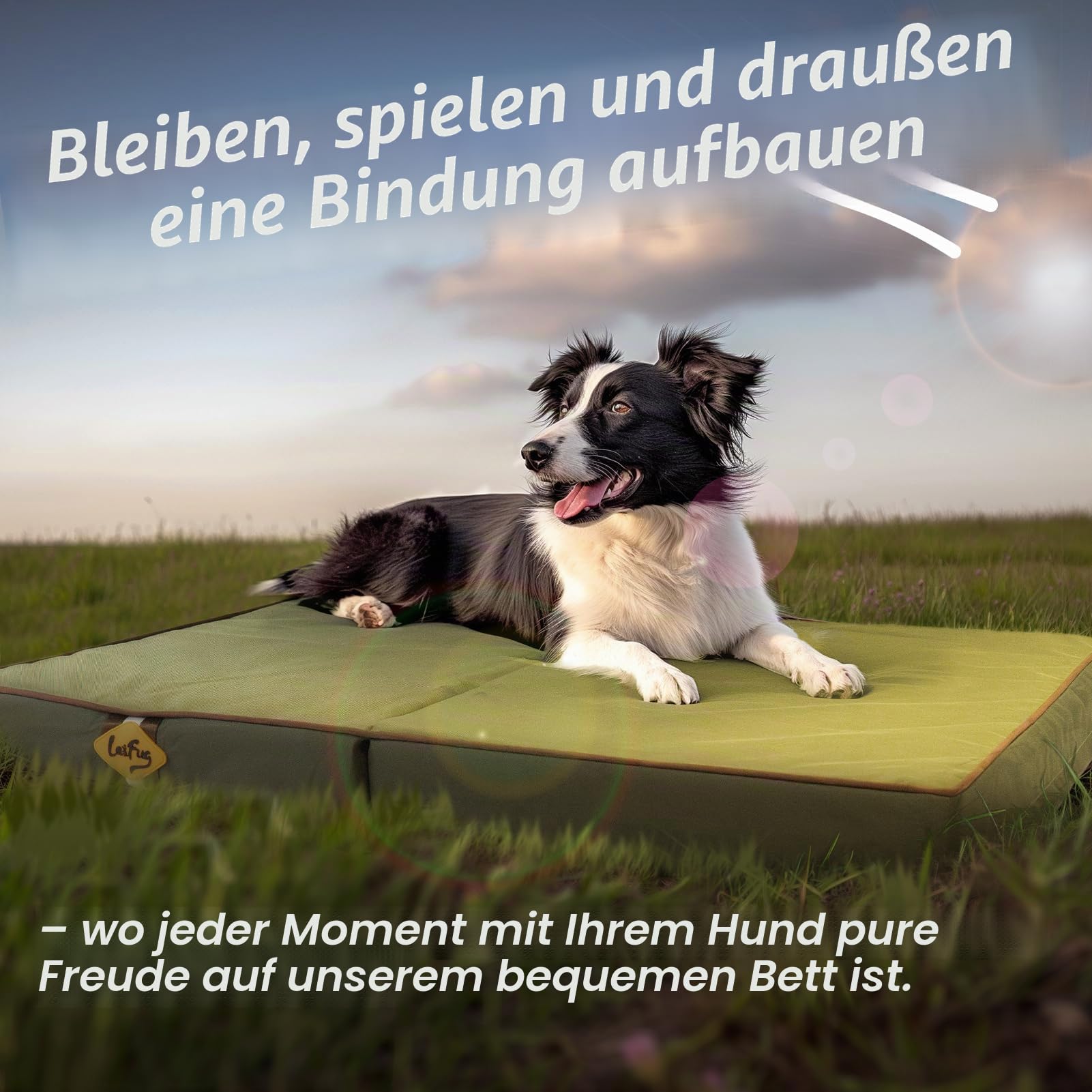 Laifug Faltbares wasserdichtes Hundebett für große Hunde - Orthopädisches Hundebett für den Außenbereich mit waschbarem abnehmbarem Bezug, Haustiermatratze mit Griffen, Armeegrün(111x81x9cm