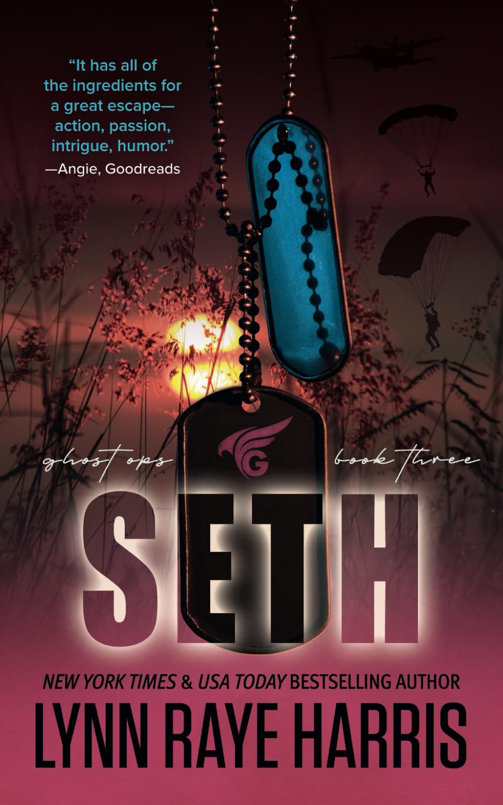 Seth: A Small Town, Enemies to Lovers, Military Protector Romance: 3 (Ghost Ops)