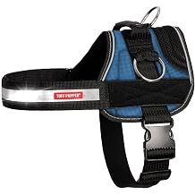 Tuff Pupper Fast Fit No Pull Dog Harness, Escape Proof, Reflective, Blue