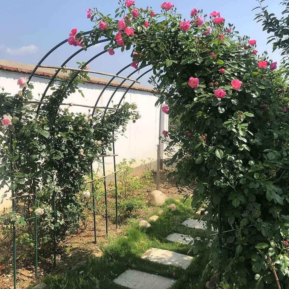 Outdoor Metal Garden Arch Heavy Duty Rose Arbor Climbing Plants Support Archway Large Wedding Arches 140Cm 180Cm 240Cm 120Cm Wide,White,W1.8M*H2.2M