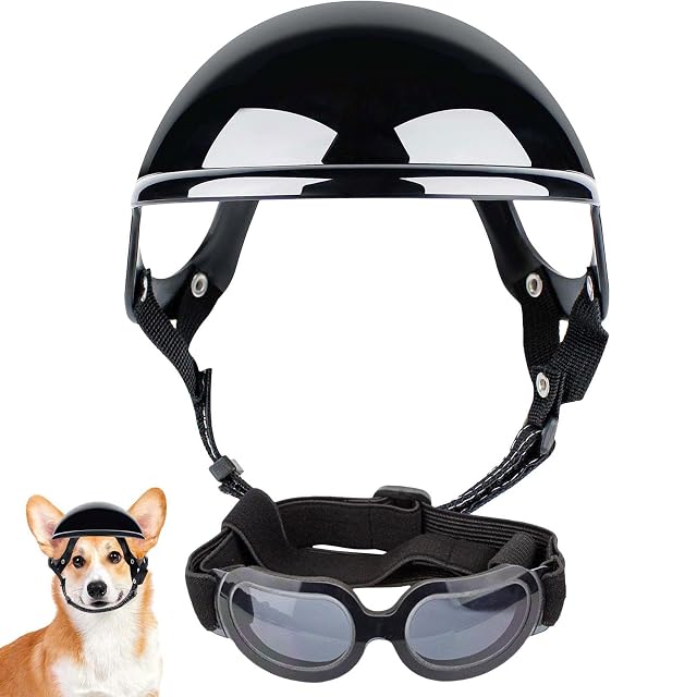 Foto 2 de 7 de Kasmole Gafas Sol y Casco para Perros