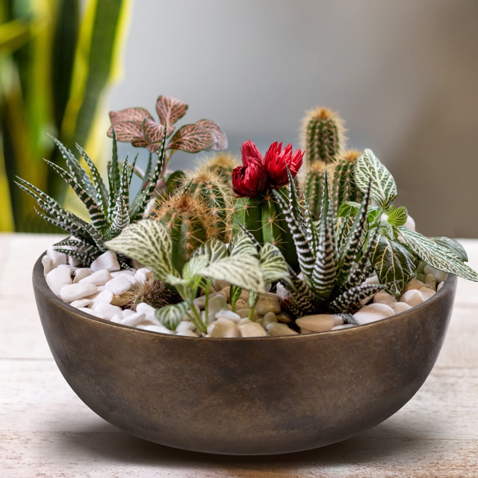 Ten-stone 9 inch Cement Bowl,Succulents Planter Pots for Indoor or Outdoor Decorative, Fairy Garden Planter (Cement, Old Gold)