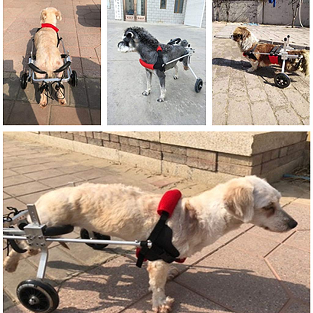 Kółka dla psa na tylne nogi, wózek inwalidzki dla psa na tylne nogi, regulowany, wspomagany spacer dla psa, tylne tylne podparcie nóg, wózek dla szczeniaka/kota, XS-L
