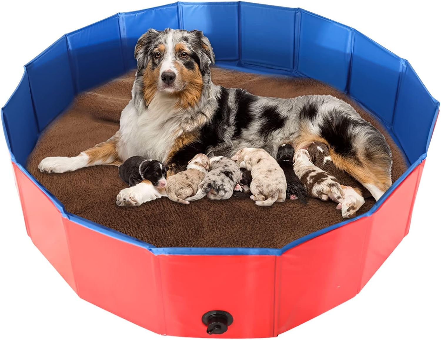 Portable Birthing Pool Dogs,Dog Whelping Pen,Whelping Box for Dogs,Whelping Pool for Puppies (47inch Dia.x12inch H)
