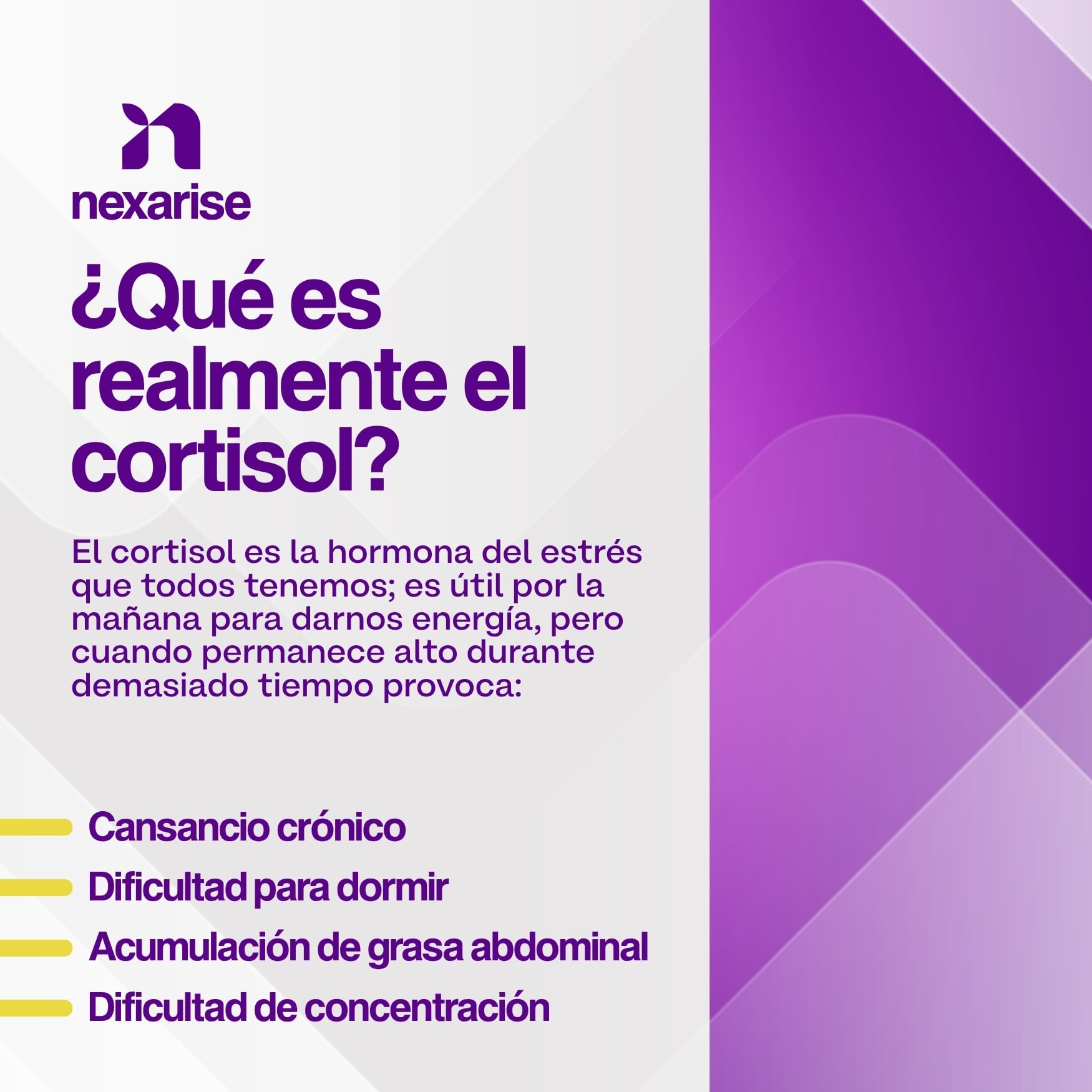 Cortisol Low 500mg | 120 Cápsulas con Fosfatidilserina 400mg, L-Teanina 100mg y Cromo Picolinato | Complemento para el Cortisol y Bienestar Mental | 4 Meses | Fabricado en Italia