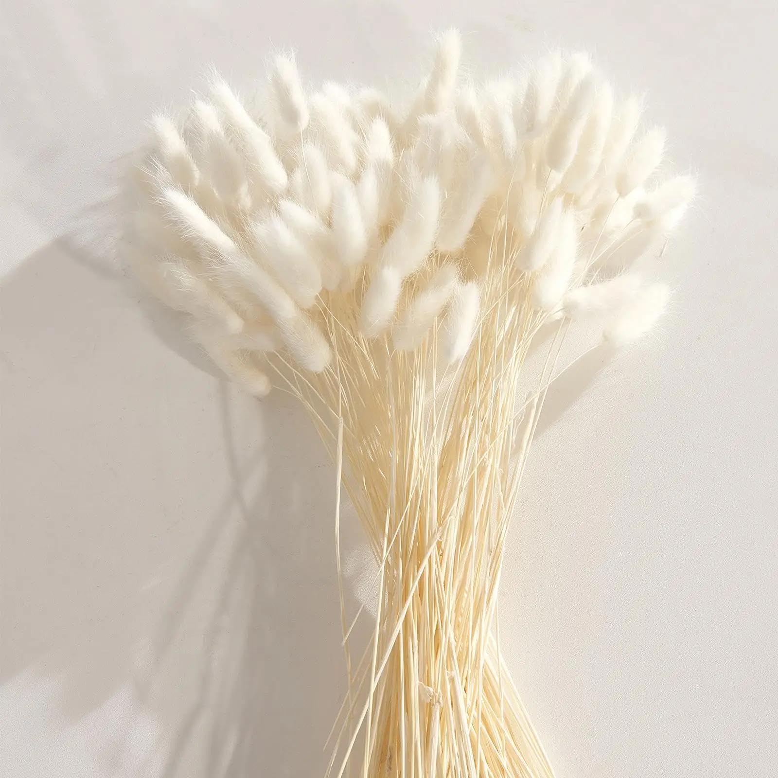 Flores secas de cola de conejo,120 piezas de 45 cm de hierba de pampa seca blanca, colas de conejo, flores secas para decoración de interiores, decoración bohemia de la boda del hogar, color blanco