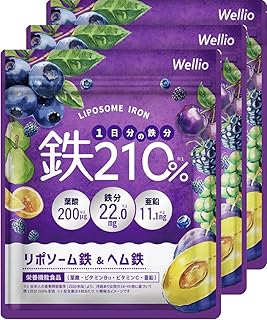 【高吸収×持続型のW 鉄分 】 1日分の鉄分210% サプリメント ヘム鉄 葉酸 亜鉛 マルチビタミン 葉酸サプリ 亜鉛サプリ ビタミンサプリ 鉄 てつ 妊活 Wellio ウェリオ (3袋)
