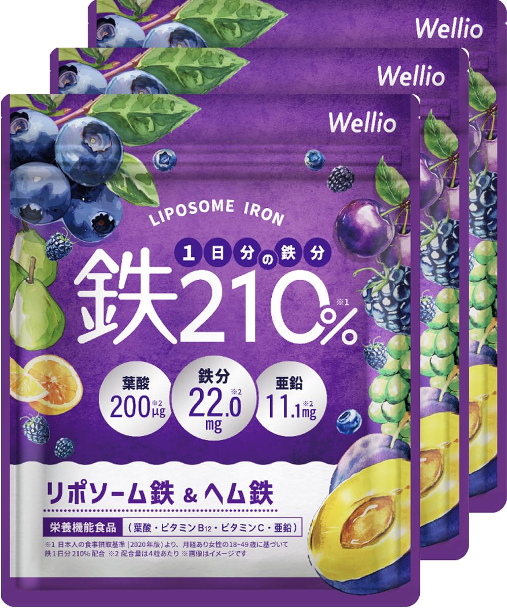 【高吸収×持続型のW 鉄分 】 1日分の鉄分210% サプリメント ヘム鉄 葉酸…