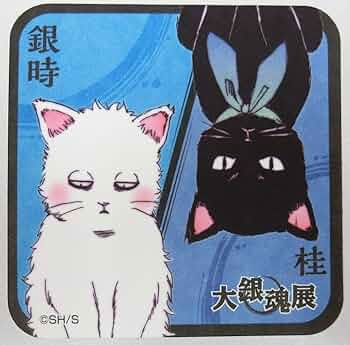 猫魂 71BHDYLLwJL._UF350,350_QL50_.jpg