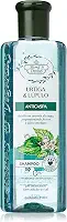 Flores e Vegetais Shampoo Urtiga Lupulo Anticaspa 310Ml E Vegetais