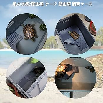 Amazon | AFYYDS 亀 水槽 90x40x23 CM カメ 水槽 亀 水槽 大きい