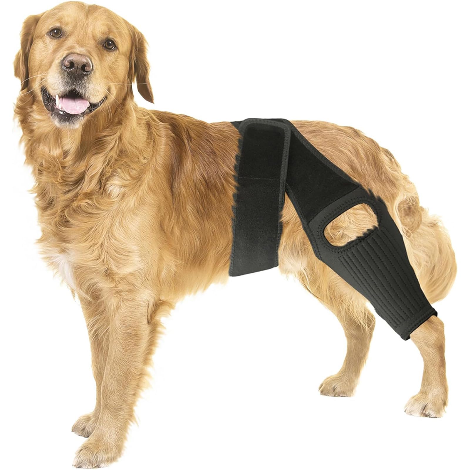 Dog Rear Leg Hock Brace, with Ten Metal Spring Inserts, Dog Canine Knee Stifle Brace Wrap, Strong Support for Torn ACL & CCL, for Hind Leg Cruciate Ligament Injuries canine arthritis (L,Blue)