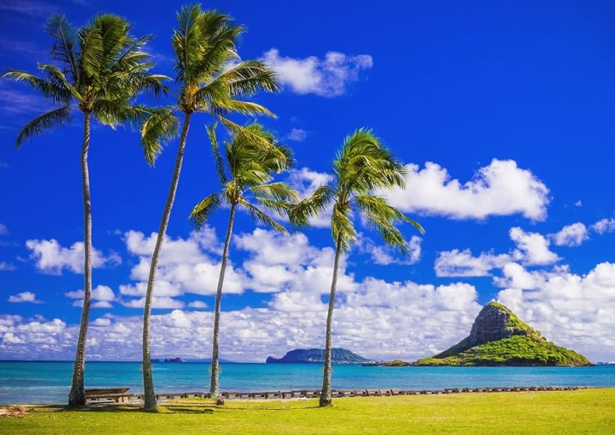 うみ 絵画風 壁紙ポスター (はがせるシール式) ハワイ オアフ島の夕陽