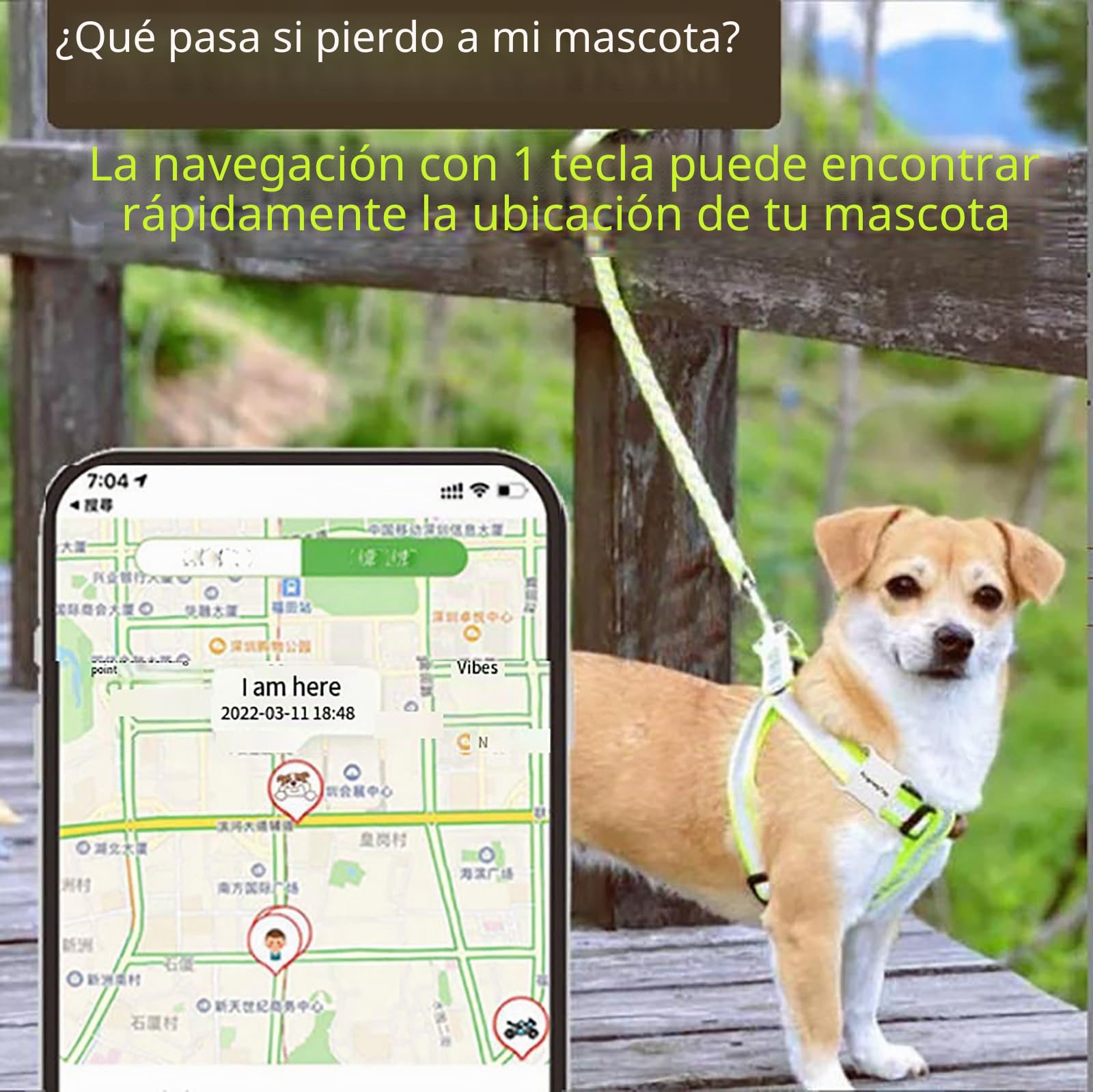 Localizador GPS para animales, rastreadores de mascotas, localizador de seguimiento GPS para gatos/perros, control de aplicación, un año de espera, IP65 impermeable, ubicación remota, para gatos y