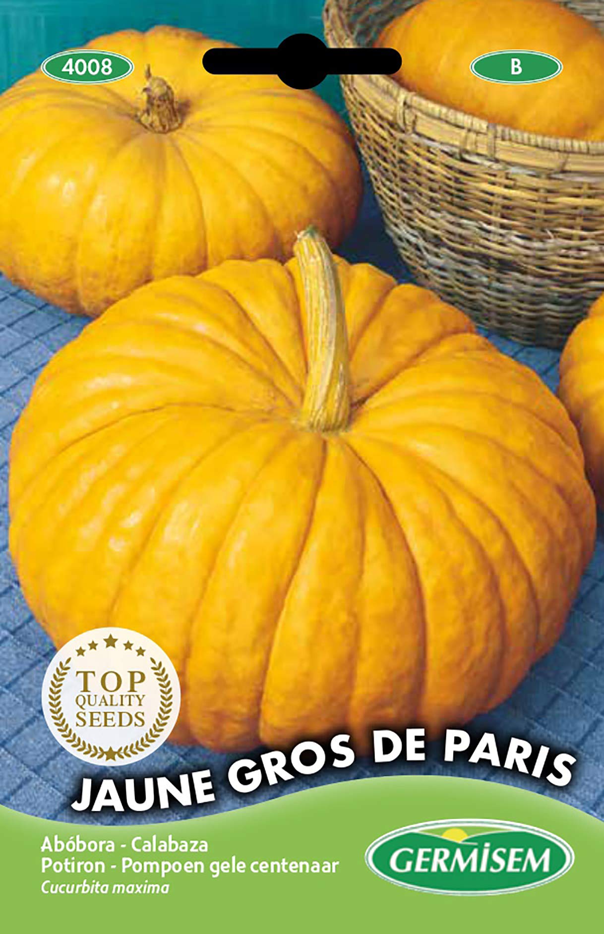 Germisem Jaune Gros de Paris Semillas de Calabaza 3 g, EC4008