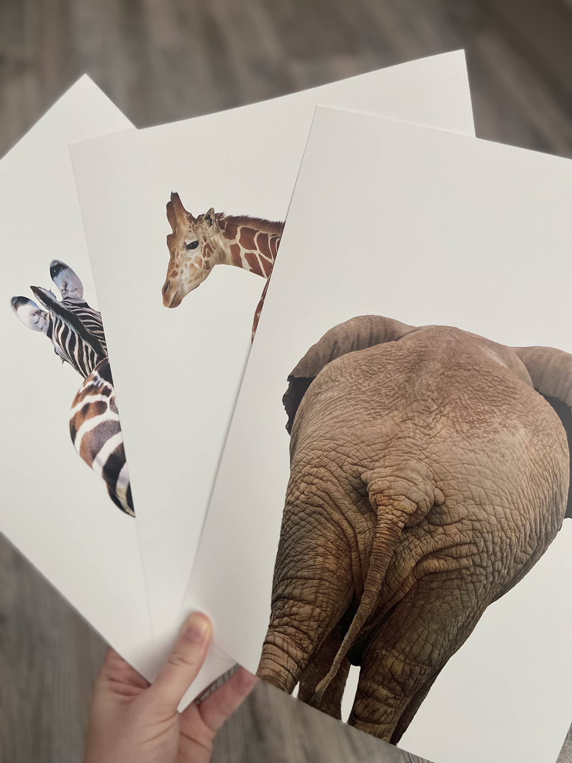 Eviepops Prints Elephant Giraffe Zebra Bum Unframed Set of 3 Safari Animal Prints in Colour, Funny Home Decor, Home Wall Art - Image 4
