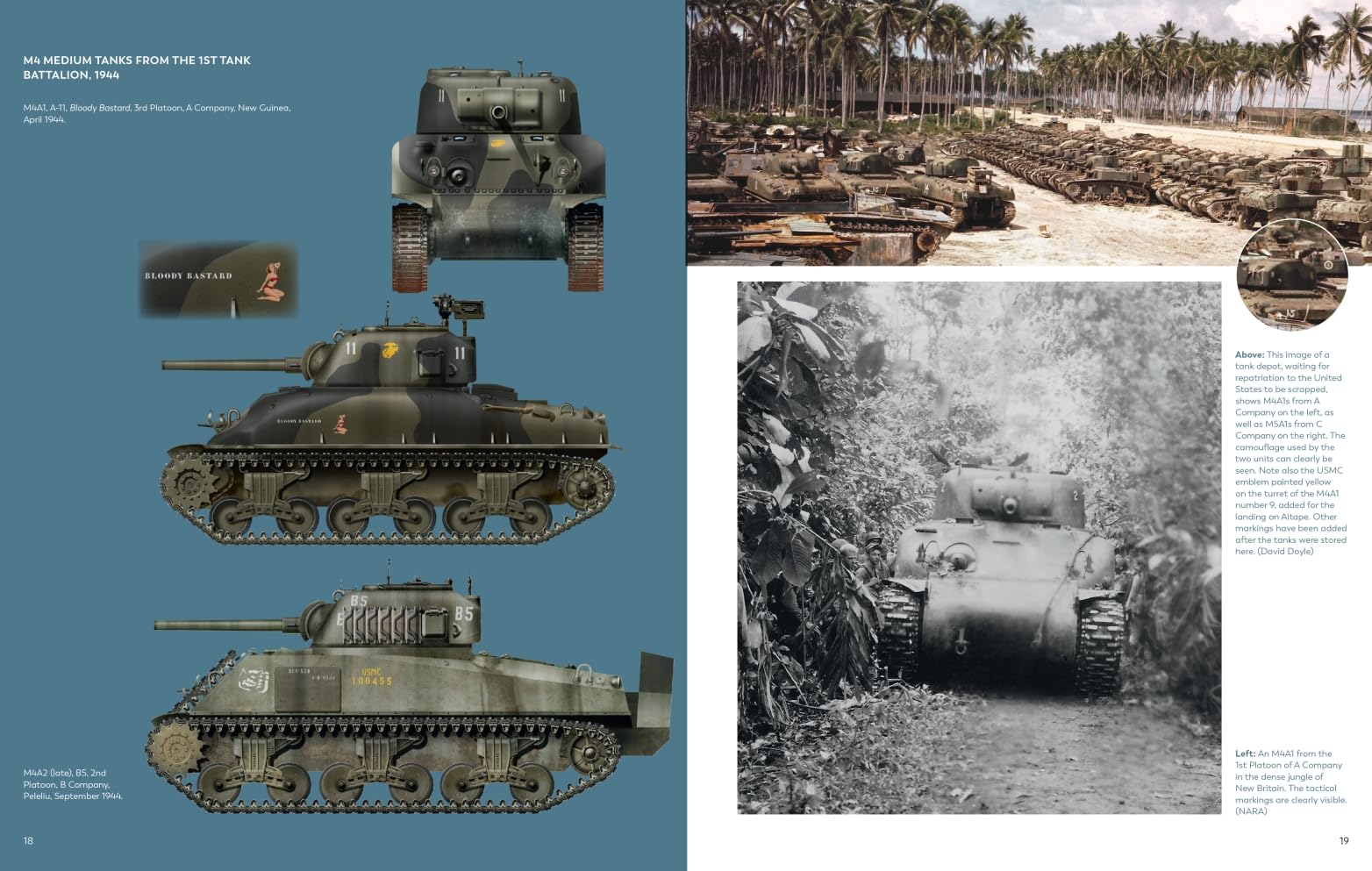 USMC Tank Markings in the Pacific (Casemate Illustrated Special, CISS0022)
