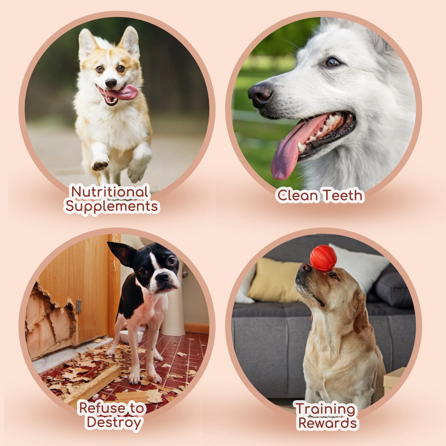 Nobleza - Snack per Cani, Bastoncini Masticabili con Carne e Merluzzo di Pollo, Snack Naturale per Cuccioli di Cane, L10 cm, 6 Confezioni x 80 g