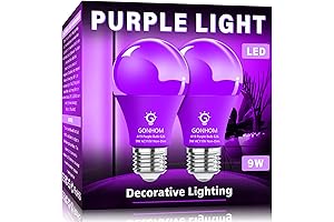 Vibrant Purple Light Bulbs for Eye-Catching Ambiance