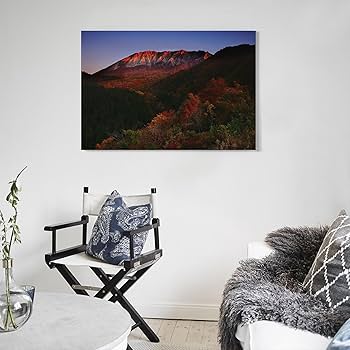 Amazon.co.jp: 絵画 鳥取県 鍵掛峠 朝焼けに染まる大山の南壁