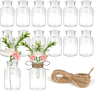 YSWOVUO Set of 12 Small Glass Vases, 125 ml Mini Vases with 5 m Jute Cord, 10.3 cm High Flower Vases, Vase Decoration, Small Vases for Table Decoration, Home, Weddings, Birthdays, Parties, Dishwasher