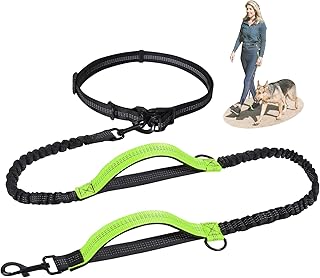 Joggingleine Hunde, Jogging Hundeleine für Mittelgroße und Große Hunde, Elastische und Reflektierende Hundeleine, Einziehbare Leine mit Doppelgriff & Taillengürtel