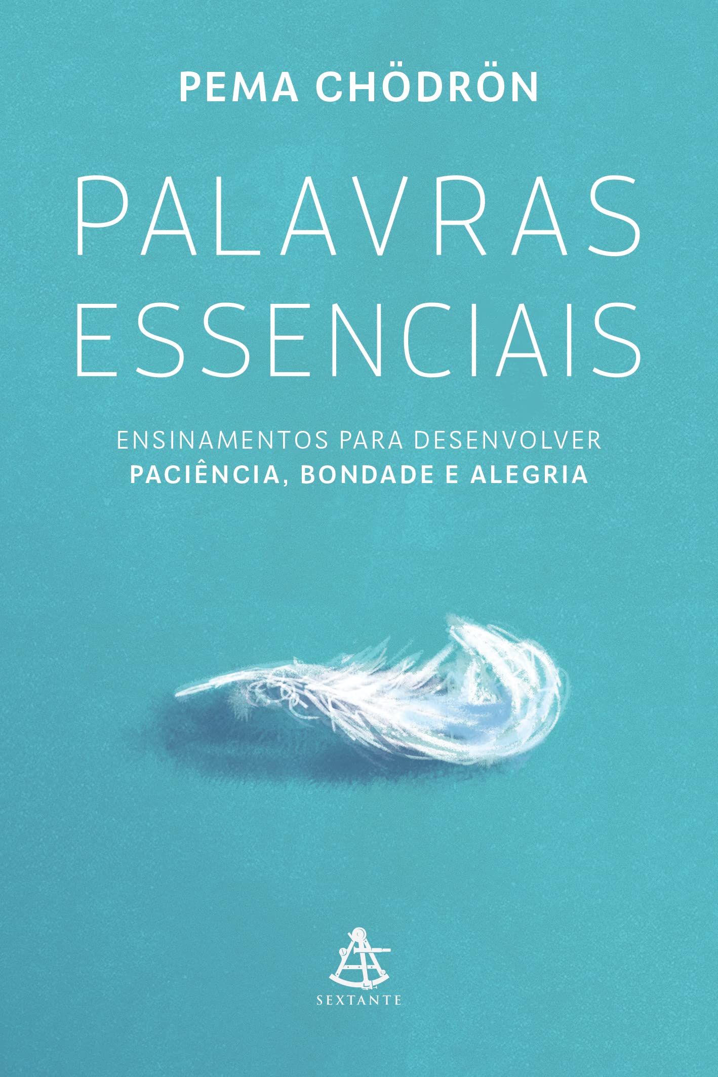 Palavras essenciais: Ensinamentos para desenvolver paciência