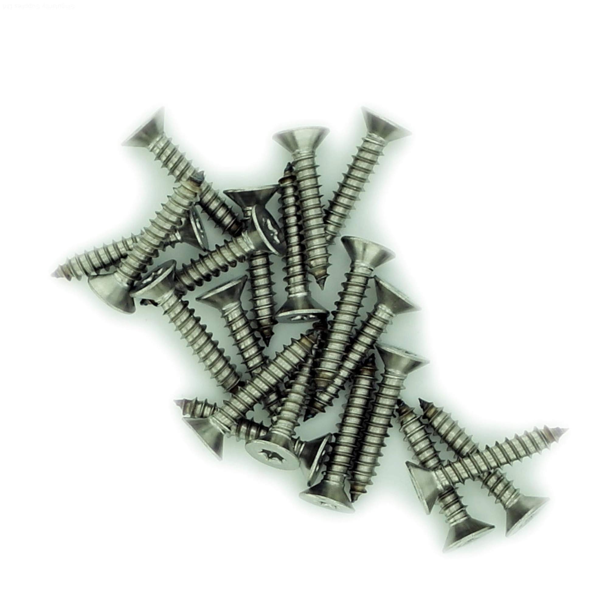 Singularity Supplies No.12 X 0.975 (5.5Mm X 25Mm) Tx Countersunk Self-Tapping Screw - Stainless Steel (A2) (Pack Of 20)