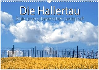 Hallertau (Wandkalender 2026 DIN A3 quer), CALVENDO Monatskalender