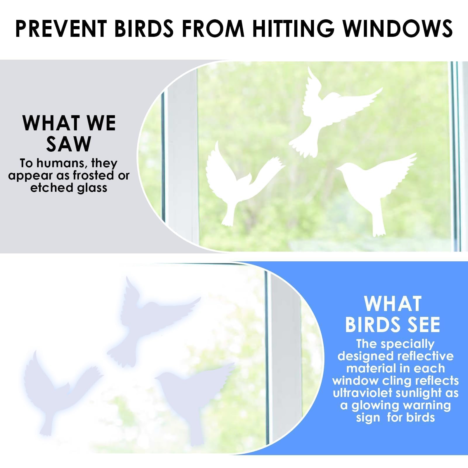 Autocollants Anti-Collision Oiseaux – 16 Stickers Réutilisables Électrostatiques, Motifs d’Oiseaux Variés, Grands Formats Translucides pour Fenêtres et Portes Vitrées Intérieures & Extérieures