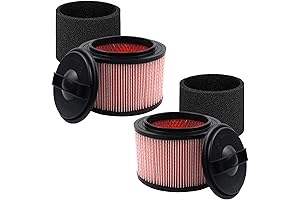 2-Pack Vacmaster HEPA Filter Compatible with VF408, VF410P, VFB511B & VF408B