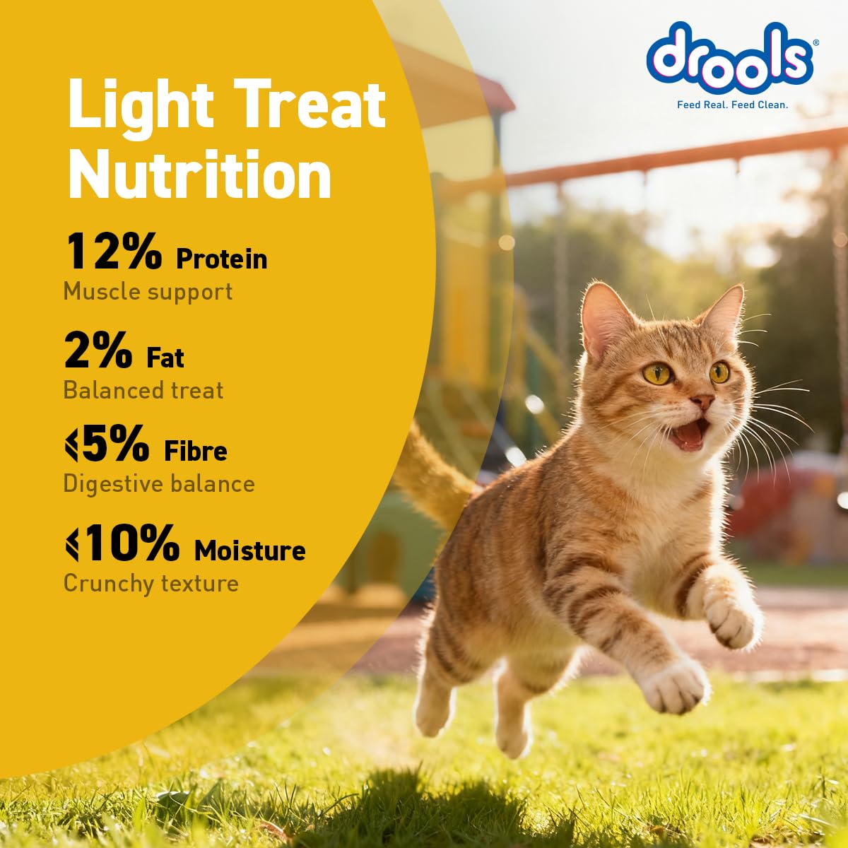 Drools All Life Stages Cat Biscuit 110g Jar | Chicken Flavour | Dental Health | Lustrous Shiny Coat | Vitamins & Minerals