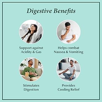 Dabur Pudin Hara Pearls - Daily Digestive Care Supplements for Men and Women, Helps Abate Symptoms of Bloating, Acidity, Flatulence and Indigestion for Digestive and Gut Health, 100 count (Pack of 10)