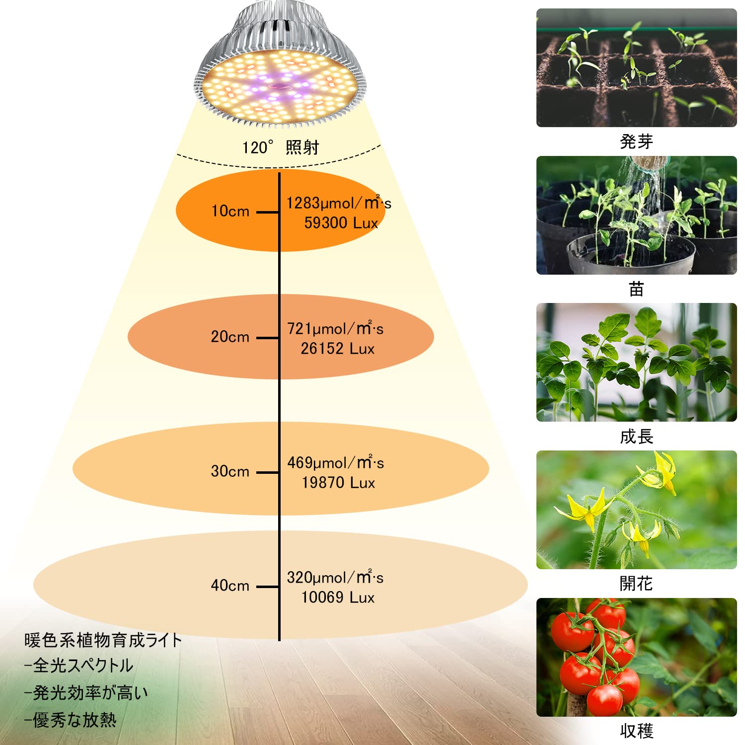 Amazon.co.jp: MORSEN LED植物育成ライト 80W相当 暖色 E26口金