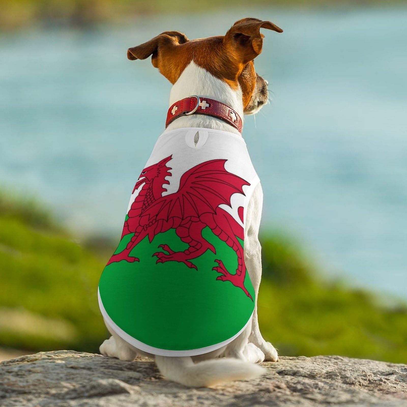 T-shirt Pour Chien Drapeau Suisse - Doux, Respirant, Facile à Mettre - Pour Petits Chiens - 7