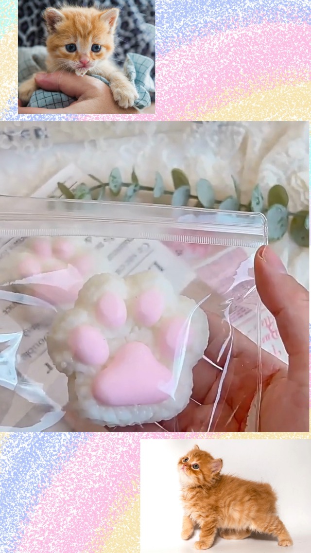 Amazon.co.jp: Edges42 スクイーズ 肉球 肉球スクイーズ 猫 おもちゃ