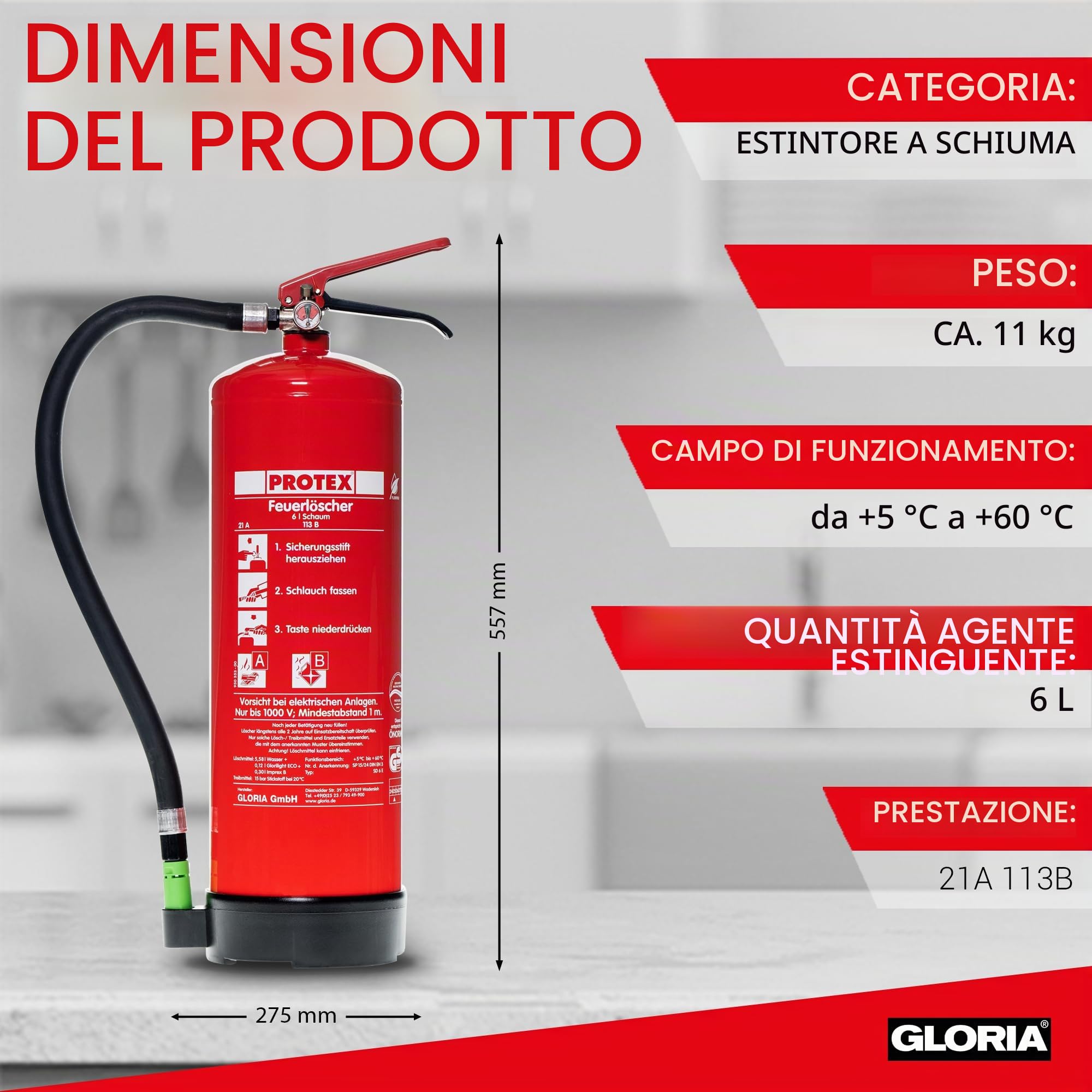 Protex – Estintore in schiuma SD6 E – 6 litri – senza fluoro – per le classi di incendio A e B – secondo DIN EN 3 – 11 kg – con pratico supporto – con piastra di prova – Made in EU