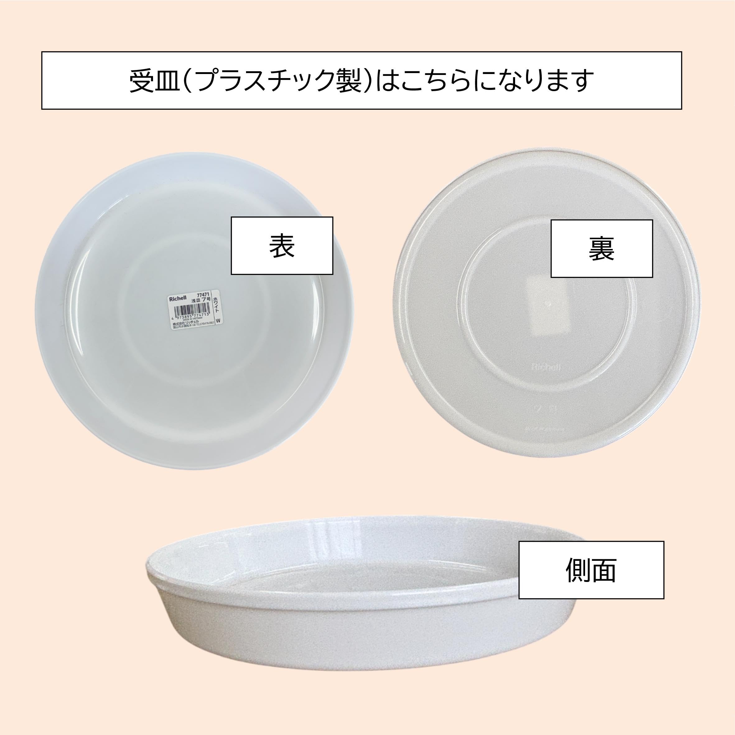 Amazon.co.jp: 松村農園 観葉植物の鉢 8号 白 丸陶器鉢 白 陶器鉢