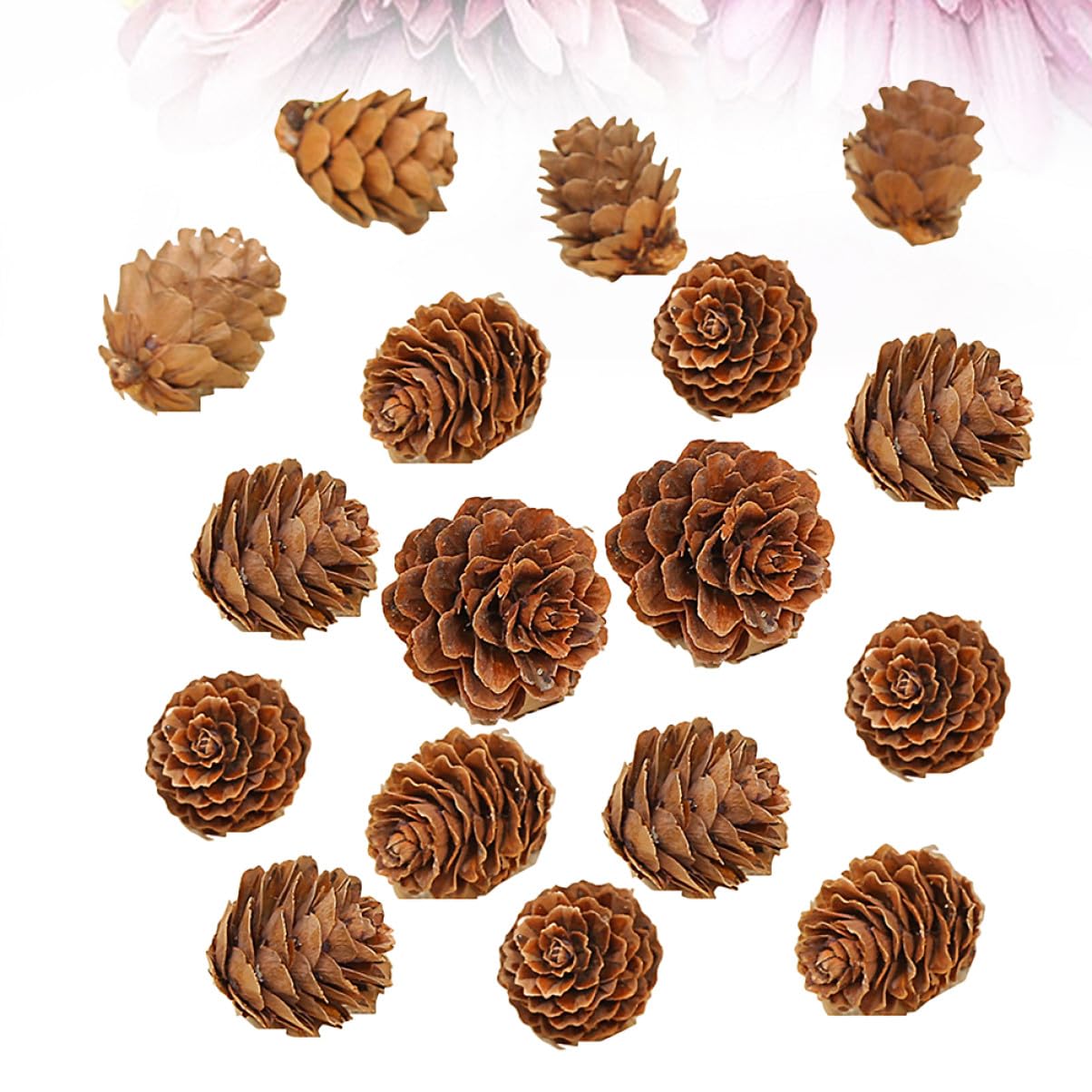LIFKOME 210 Piezas Piñas de Mini Piñas Naturales Secas Decoraciones Hogar para Acción de Gracias y Navidad