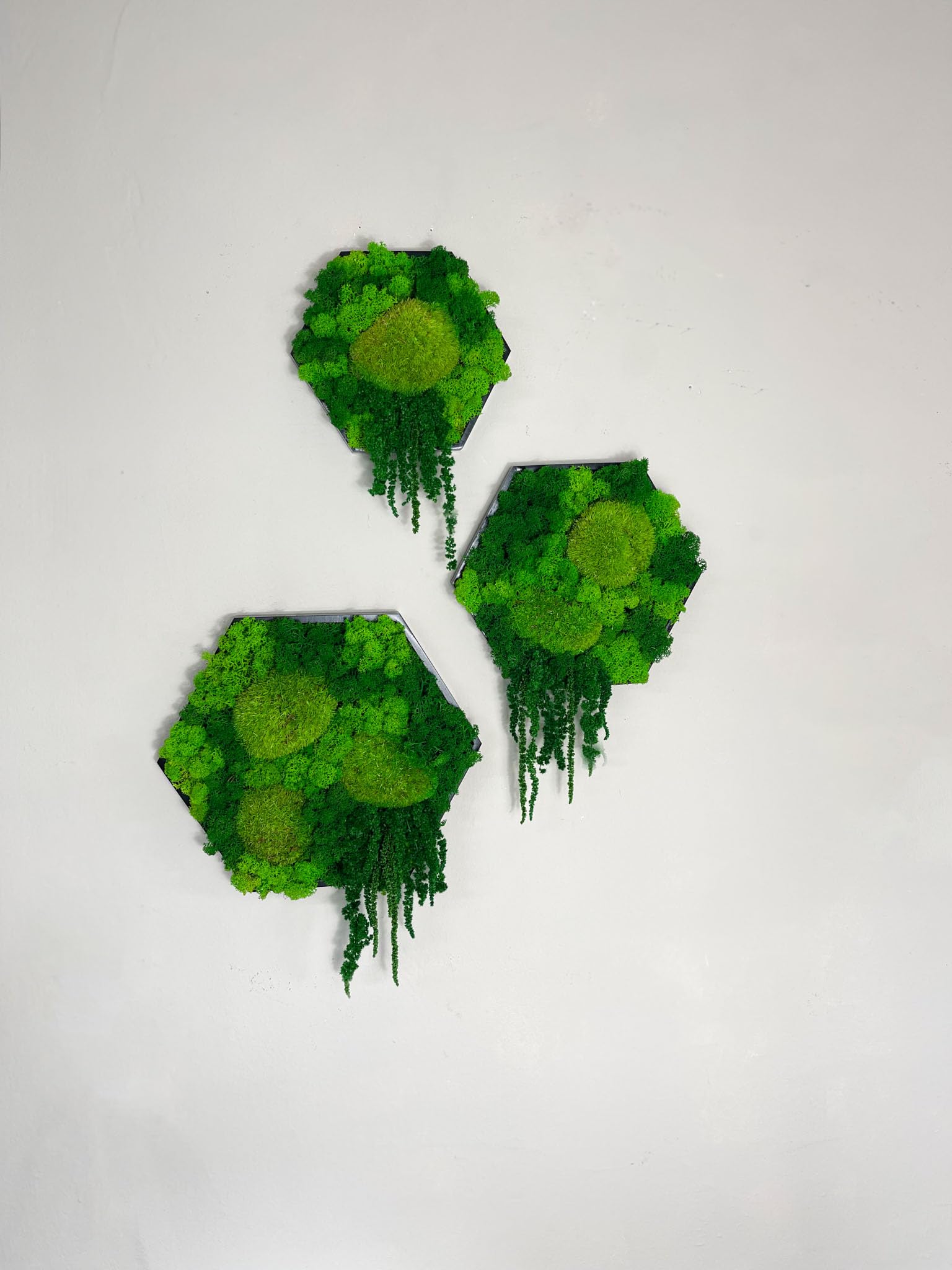 Gedankenwunder Manufaktur Island Ranke Moosbild Hexagon Sechseck