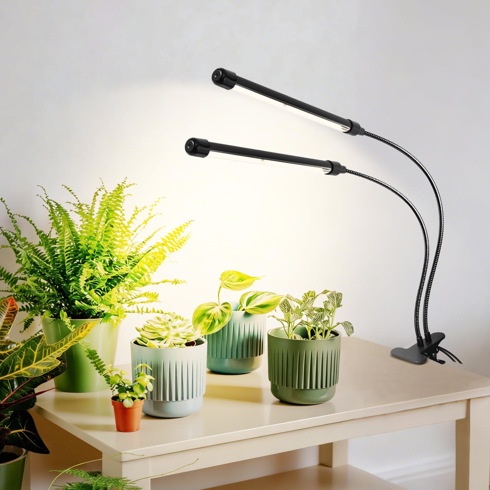 Lampada LED per Piante da Clip 12V, spettro completo con rosso 660nm potenziato, timer e dimmer, PPFD alto 160 µmol/s/m²@15cm, 10W luce di crescita ideale per coltivazione piante indoor.